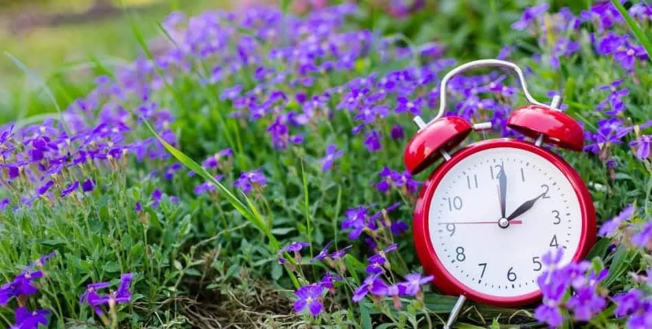 alarm clock